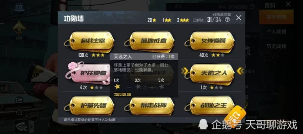 如何在吃鸡游戏中有效隐藏并保护个人战绩隐私设置