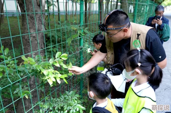 嫩叶草隐藏路线：发现新线索，潜藏在城市中的神秘路径引发广泛关注与讨论，可能改变你对周边环境的认知！