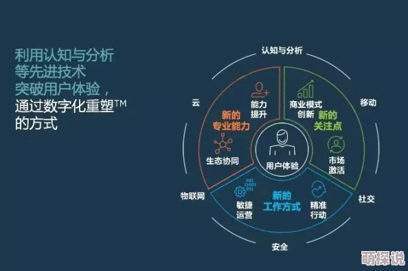 中文X站：探讨其在社交媒体生态中的影响与发展趋势，分析用户行为及内容传播机制