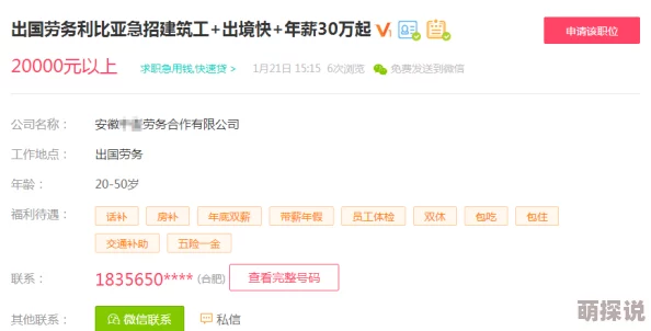 久久99精品久久久久久首页：震惊！全网用户纷纷反映平台出现重大安全漏洞，个人信息泄露风险加剧！