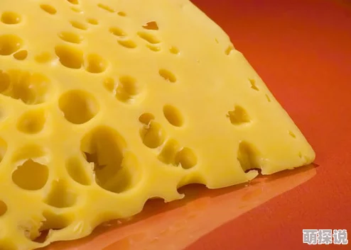 Unplagued奶酪者：探索独特风味与制作工艺的详细介绍