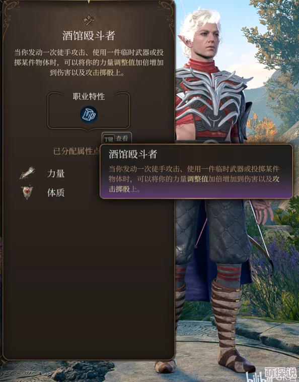 博德之门3武僧角色加点全攻略：详细解析与推荐方案