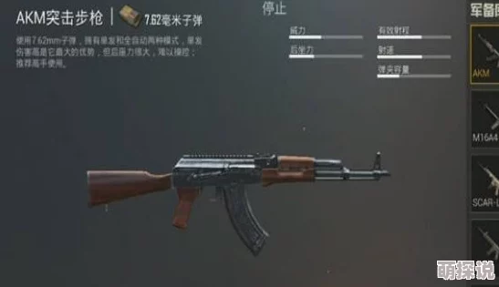 地铁逃生游戏中M4步枪哪款皮肤外观设计更加吸引人眼球