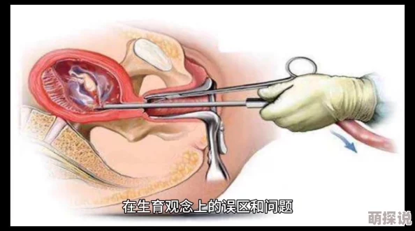 男人c女人：最新研究揭示性别关系中的权力动态与情感交流的深层次影响，挑战传统观念引发广泛讨论