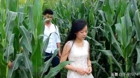 乡下邻居寡妇教我做爰小说：揭示农村生活中的情感纠葛与人性深度，探讨爱情与孤独的交织