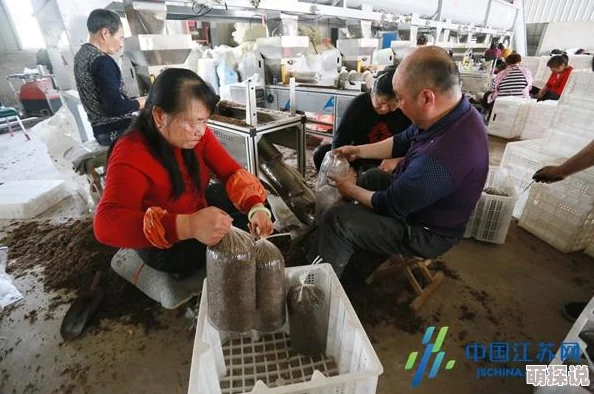 人畜禽CORPORATION书评分：最新评测结果揭晓，行业专家对其影响力和市场潜力进行深入分析与讨论