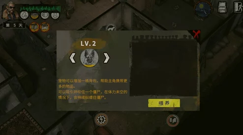 末日希望：极限挑战高效打法技巧与策略深度解析