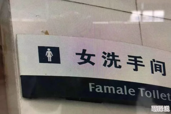 海滩厕偷窥免费视频：最新动态曝光，网友热议隐私问题与公共场所安全，引发广泛关注与讨论