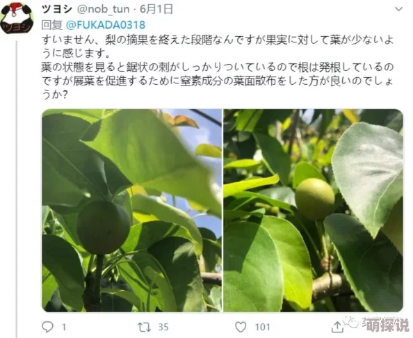 日本夏冰寒说：成年黄网站免费大全毛片：最新动态与资源更新，提供更丰富的内容选择和用户体验，满足不同需求