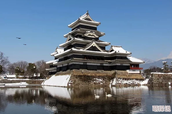 日本毛片在线观看：最新动态与热门影片推荐，带你了解当前最受欢迎的日本成人影片及观看平台