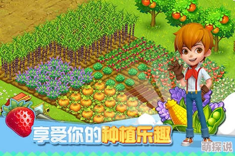 全民农场致富攻略：实战技巧与策略，助你轻松打造财富田园梦