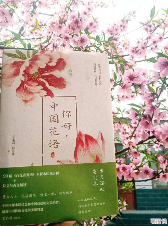 探索亚洲小说中的春色综合与另类风格的独特魅力与文化交融