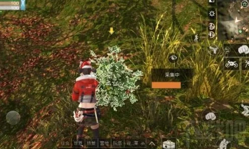 明日之后：探索刺楸树根的多重用途及高效获取方法