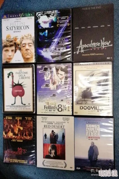 探索欧美一级毛片完整版的魅力：揭示背后的文化与艺术价值，带你领略不一样的视听盛宴