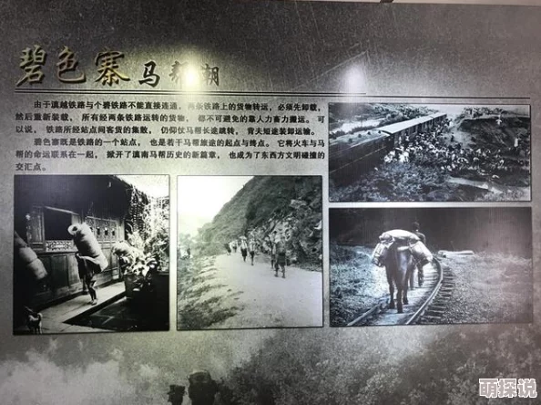 探索国产黄色在线看的多元化发展：从文化视角看当代影视作品的创新与挑战