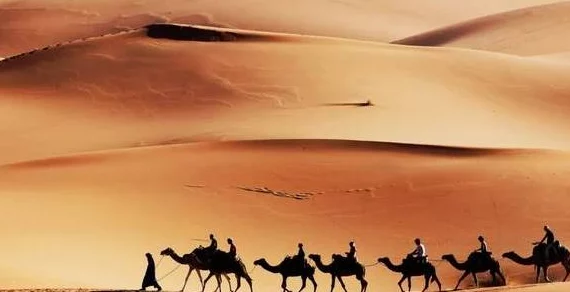 探索大尺度无遮挡的魅力：在广阔视野中感受自由与无限可能的生活方式