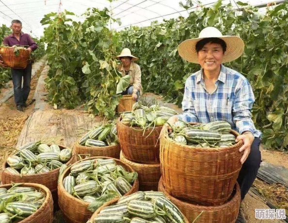 堡垒之夜手游武器修理全攻略：高效技巧与步骤分享指南