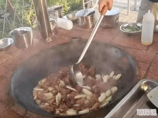 探索山村秘境：一场关于精品乱肉的美味盛宴与乡土风情的奇妙结合之旅