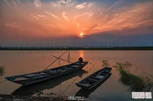 航海王燃烧意志攻略:海上列车挑战全解析,高效打法一览及技巧分享 航海王燃烧意志攻略:海上列车挑战全解析,高效打法一览及技巧分享