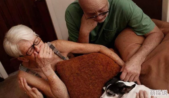 探索男女在亲密关系中产生的声音与视频表现，揭示情感交流的深层次