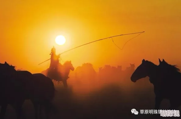 探索日本无马视频的魅力与文化背景，揭示其背后的故事与影响