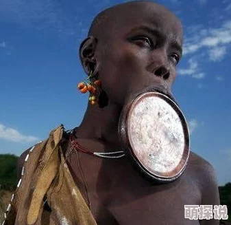 探索美国一级毛片片aaa的魅力：揭示其背后的文化现象与观众心理分析