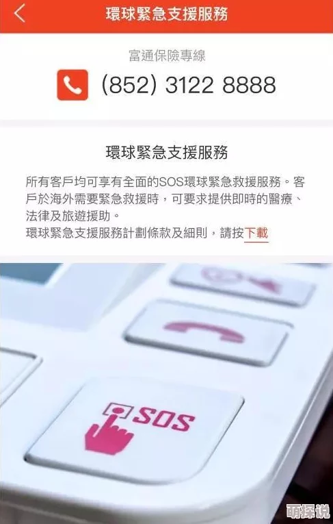 探索十大黄色APP：揭开隐秘世界的面纱，体验不一样的数字娱乐之旅！