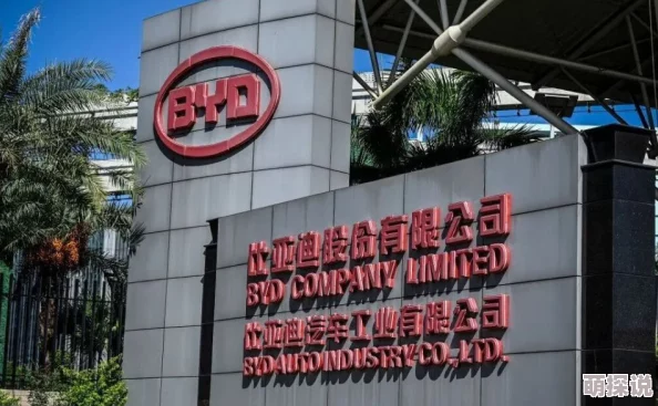 性猛交xxxxx按摩：最新动态揭示行业发展趋势与消费者需求变化，关注健康与安全的平衡
