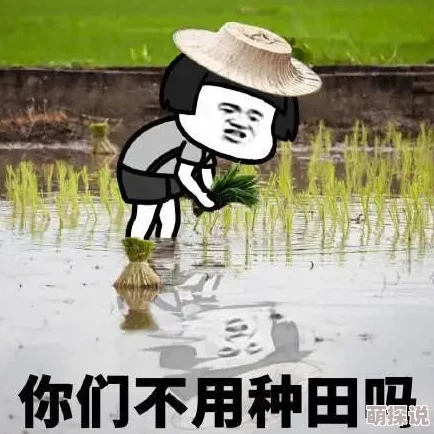 啊～快cao啊～cao死我啊！让我们一起探索生活中的疯狂与激情