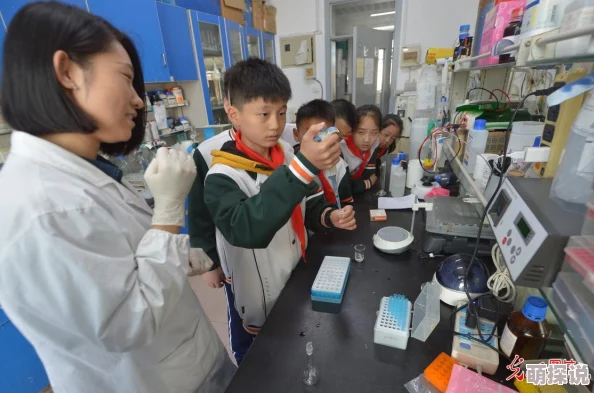 实验研究所免费：最新动态显示，多个实验室将于下月起对公众开放，提供免费的科研体验和学习机会