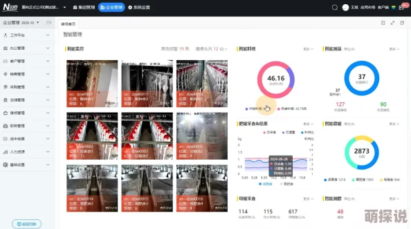 77777网站：探讨其在网络文化中的影响力与用户体验的多样性分析