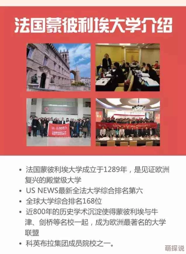 77777网站：探讨其在网络文化中的影响力与用户体验的多样性分析
