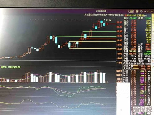 XⅩXX68：解析这一神秘代号背后的意义与影响，揭示其在当今社会中的重要性和相关背景