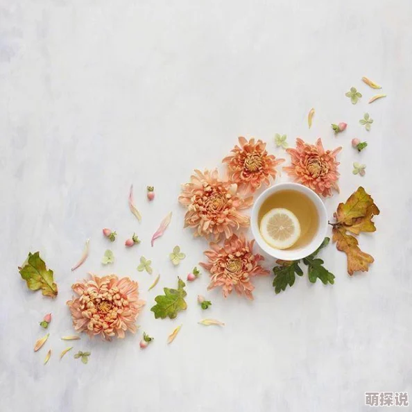 探索99国产精品农村一级毛片：乡村生活中的真实故事与独特魅力，带你领略不一样的视角与体验