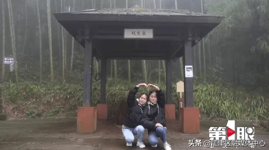 探索99国产精品农村一级毛片：乡村生活中的真实故事与独特魅力，带你领略不一样的视角与体验