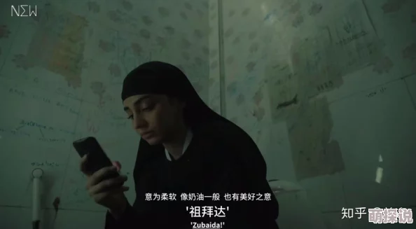 不法奸禁电影：近期多部涉嫌违规影片被查处，相关部门加强监管力度，呼吁公众抵制非法内容传播