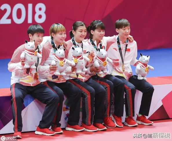 口袋妖怪复刻：深度解析双打搭配玩法套路与实战技巧分享