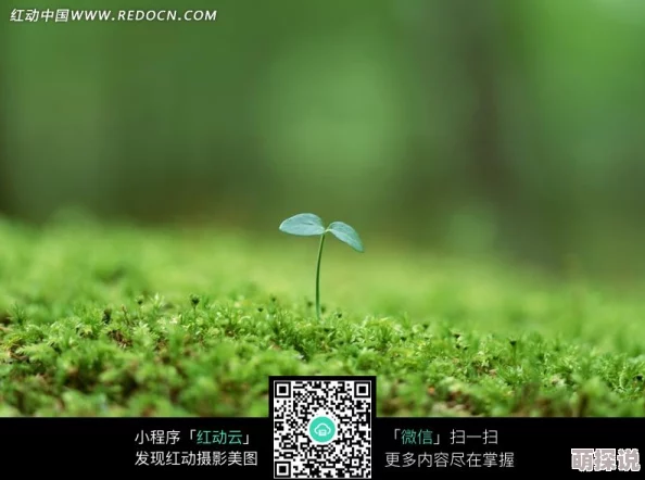 探索国产老头吃嫩草的独特魅力：当代社会中的年龄差异与情感交织