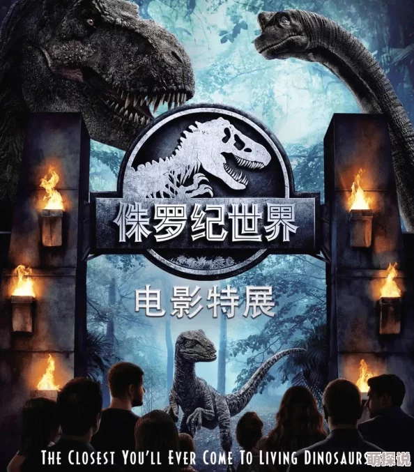 探索A一级电影的魅力：从经典之作到现代杰作，揭示其背后的艺术与文化价值