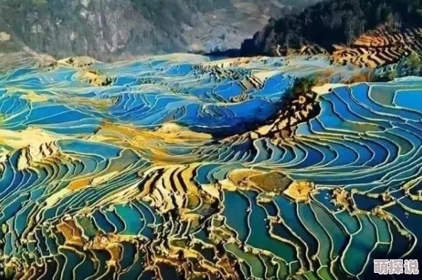 探索一本色道久久88：揭示其背后的文化与艺术魅力