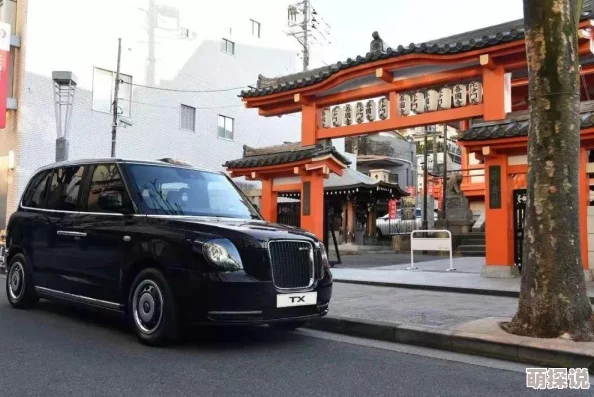 ZIJJ日本：探讨日本文化在全球化背景下的传承与创新，分析其对现代社会的影响与启示