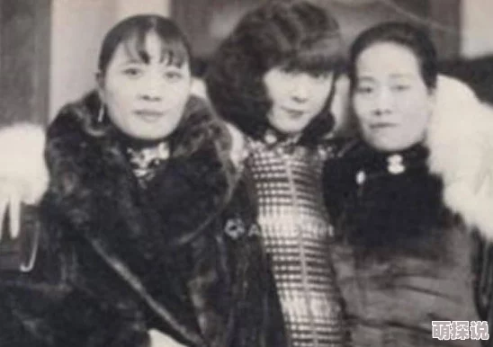 在时代洪流中绽放：国产长篇小说中的情感纠葛与社会变迁的深刻探讨