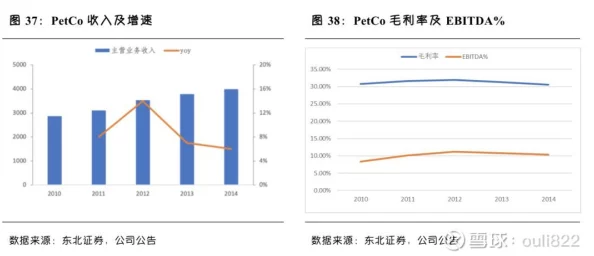 久久久久久久无码：最新动态揭示行业发展趋势与市场变化，深度剖析未来前景与挑战