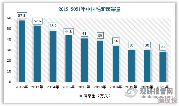 久久久久久久无码：最新动态揭示行业发展趋势与市场变化，深度剖析未来前景与挑战