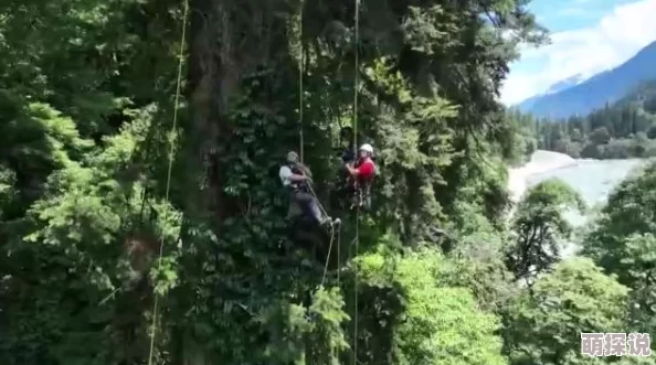 探索成年人黄色免费视频的多样性与文化影响：从娱乐消费到社会观念的深度剖析