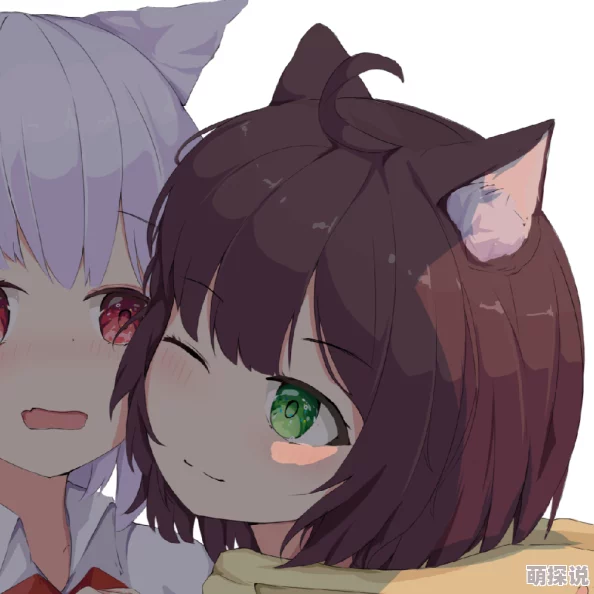 女人把私人部位扒开视频网：警方已介入调查，相关网站被封禁，受害者呼吁加强网络安全保护措施