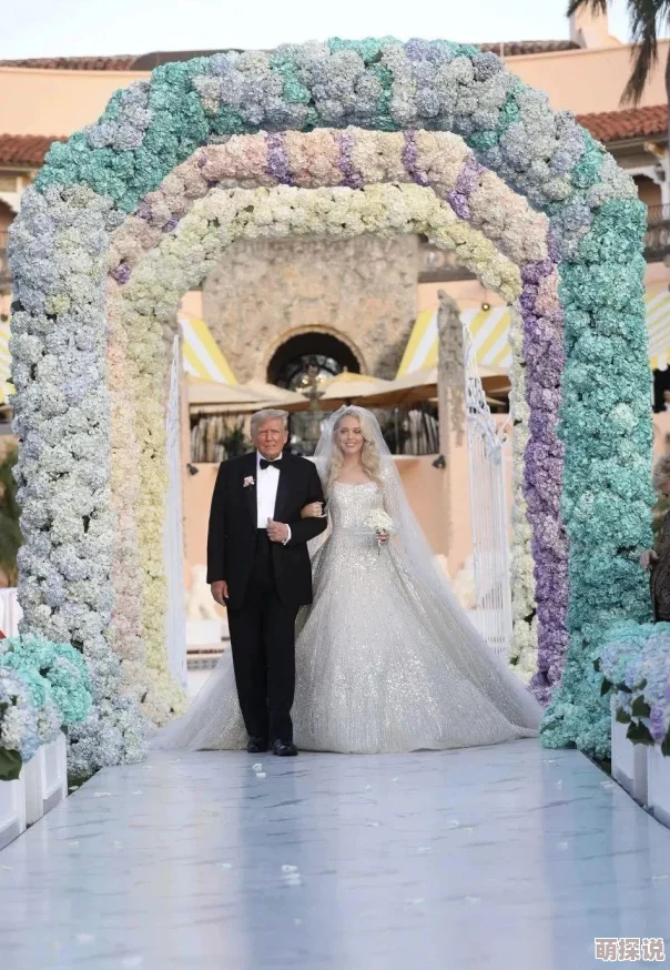 全面解析:有杀气童话盛装舞会玩法规则与攻略详解指南 全面解析:有杀气童话盛装舞会玩法规则与攻略详解指南