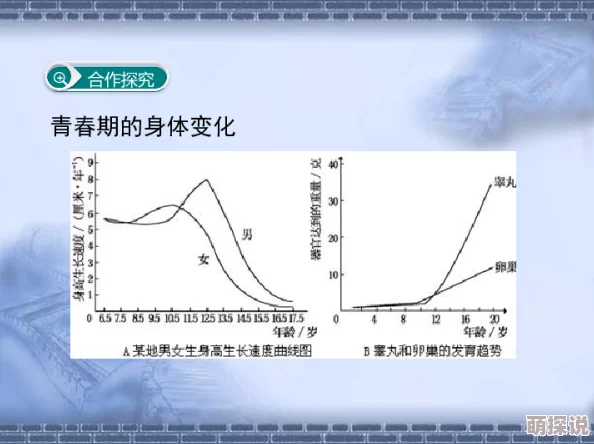 betheone少女荷尔蒙：探讨青春期女性心理与生理变化对自我认同的影响及其社会文化背景