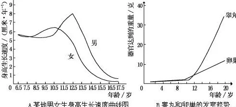 betheone少女荷尔蒙：探讨青春期女性心理与生理变化对自我认同的影响及其社会文化背景