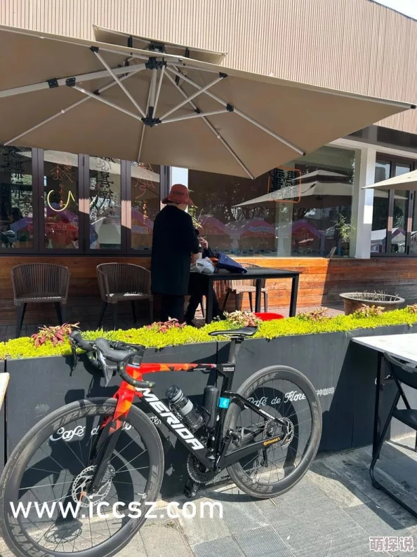 亚洲欧美日韩中文字幕在线一区:最新动态分析与发展趋势,探讨区域合作与经济交流的新机遇与挑战 亚洲欧美日韩中文字幕在线一区:最新动态分析与发展趋势,探讨区域合作与经济交流的新机遇与挑战